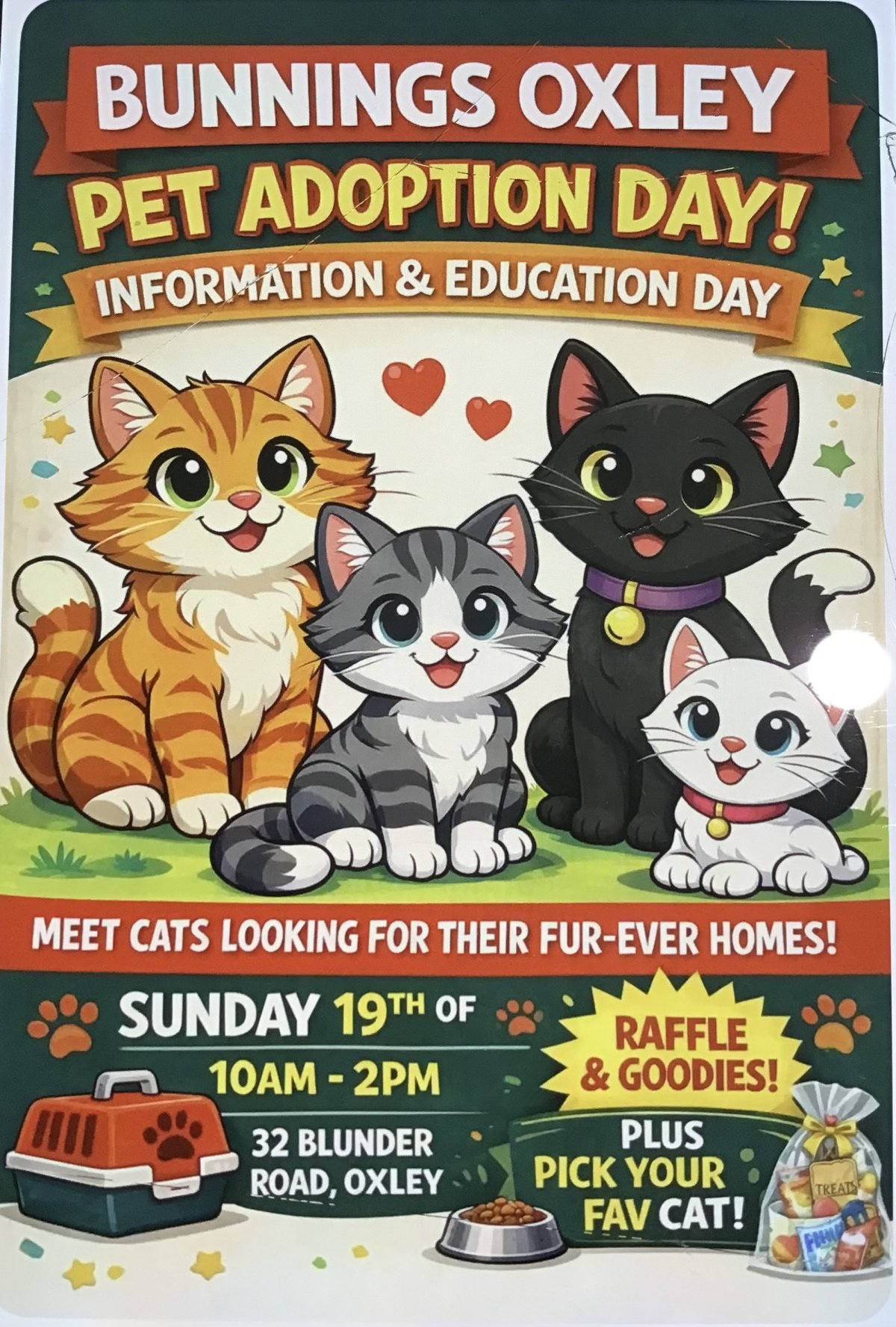 Pet Adoption Day Oxley Bunnings